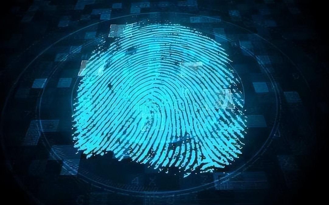 哪个指纹浏览器好用