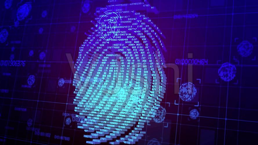 指纹浏览器哪个好