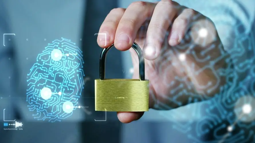 火豹超级浏览器价格表