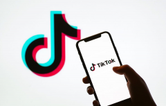 TikTok Shop美区卖家各类店铺问题解决方案