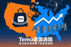 Temu美国遇阻，亚马逊价格铁幕下的卖家困
