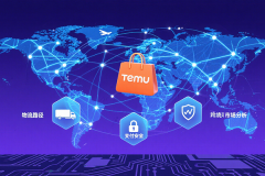Temu跨境电商网络如何选择？全网最强攻略