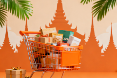 东南亚电商大潮，Lazada双十一再创佳绩